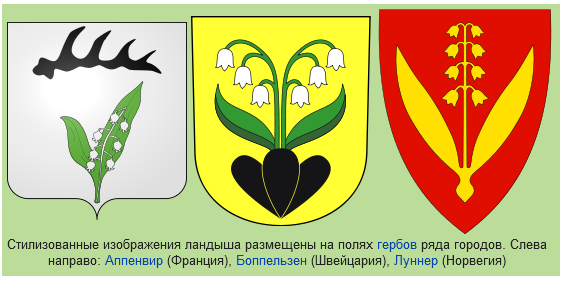 Ландыш майский