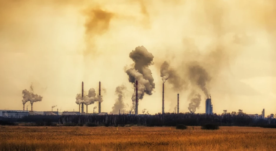 Почти каждый из нас дышит вредным для здоровья воздухом. ВОЗ предупреждает