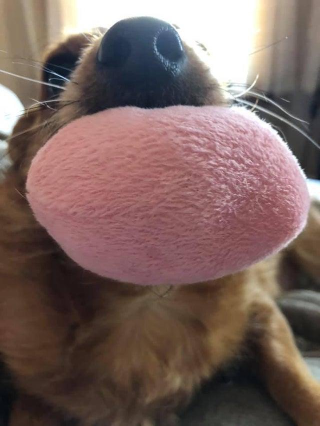 Хотя придется пересмотреть не один раз, прежде чем станет понятно, в чем соль.