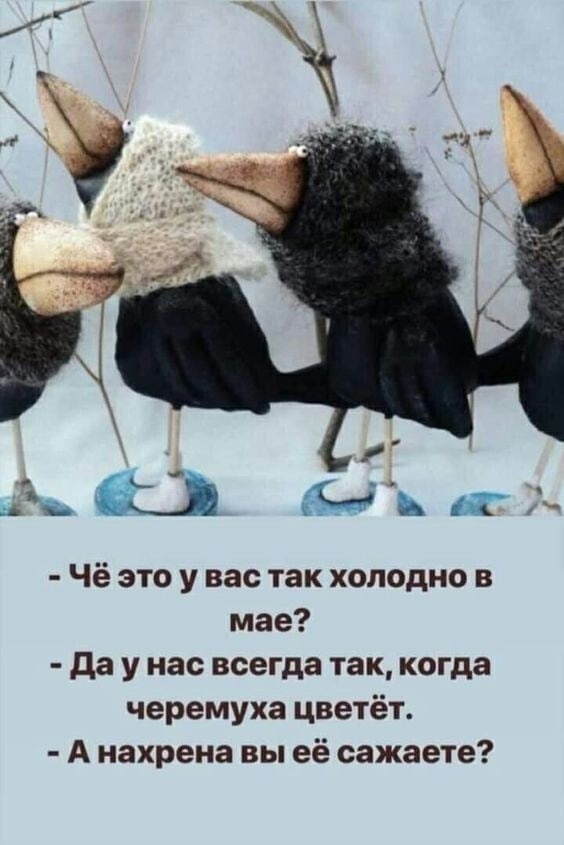 Почему в мае в России почти всегда бывает холодно?