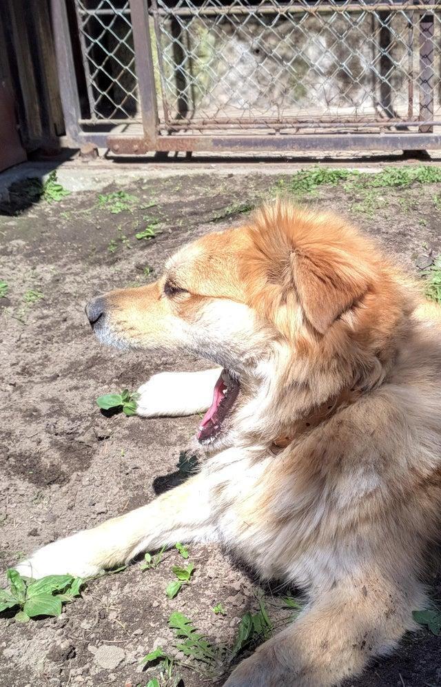 Хотя придется пересмотреть не один раз, прежде чем станет понятно, в чем соль.