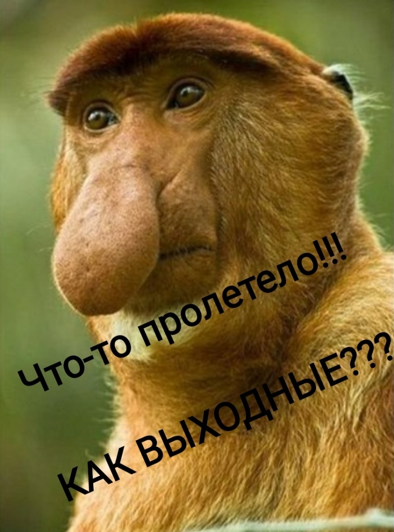 Смотрите внимательней! Видите? Что-то перед глазами промелькнуло! Это ваши выходные!