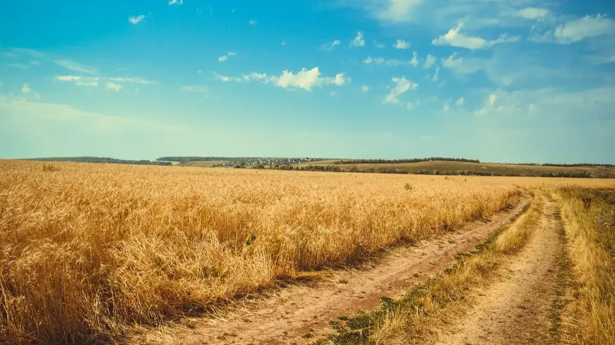 Грешно ли работать 10 мая в день апостола от 70-ти Симеона Иерусалимскаго, сродника Господня - 2022 - можно ли сегодня трудиться на огороде, убираться