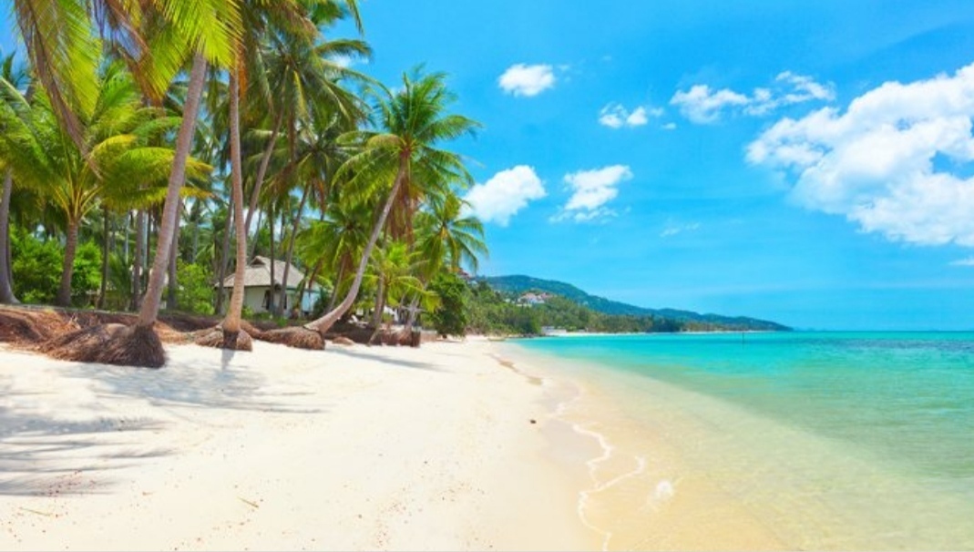 Где Вам хотелось бы оказаться прямо сейчас ?