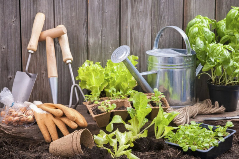 Лунный посевной календарь на май 2022 года для садовода и огородника: календарь посадки и посева в мае-июне 2022, благоприятные дни. Что садить в мае?