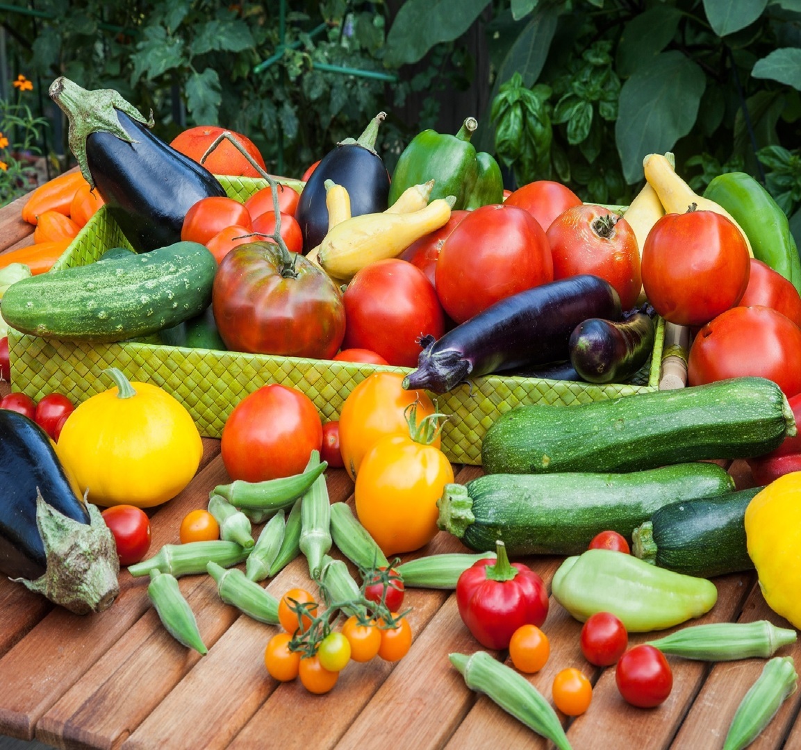 Посевной календарь май 2022 огородникам и садоводам: лунный календарь. Что когда лучше сажать? Посевы в мае и июне 2022 года. Благоприятные даты