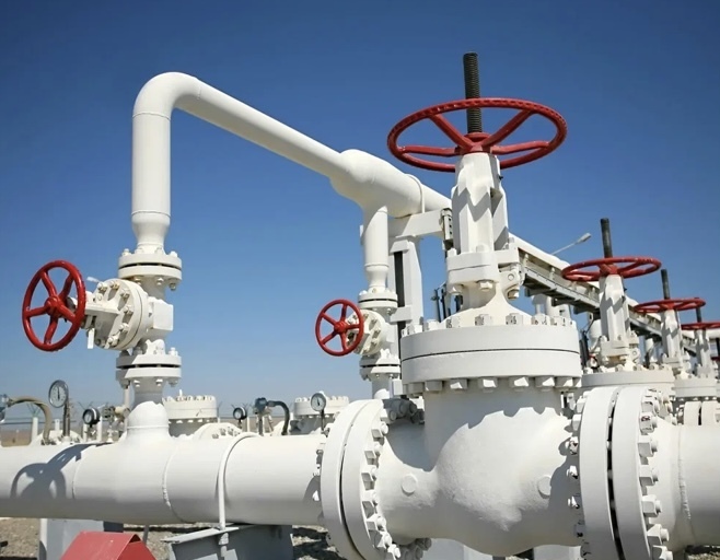 Снос памятников, возрождение фашизма пора пресекать радикальными методами. Европа и США -это вредители мировой человечности.