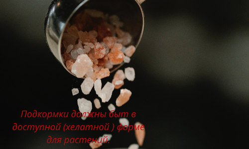 Сода для огорода и другие её полезности. Как использовать пищевую соду на даче. Можно ли использовать соду в саду и огороде.