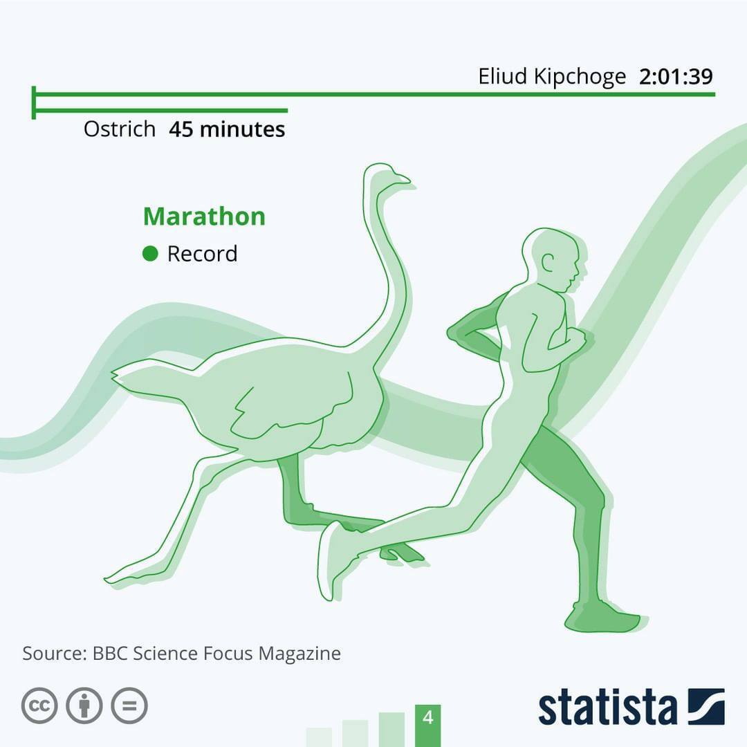 Мировая статистика.