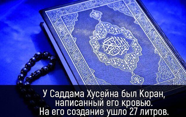 Интересные факты