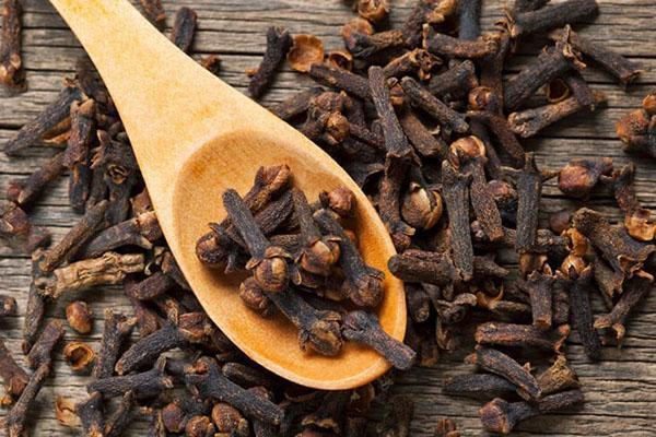 Гвоздика. Свойства, польза для здоровья, способы употребления