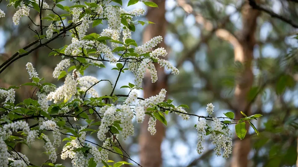 Какой сегодня церковный праздник? Что можно делать 13 мая 2022 и что нельзя по народным приметам