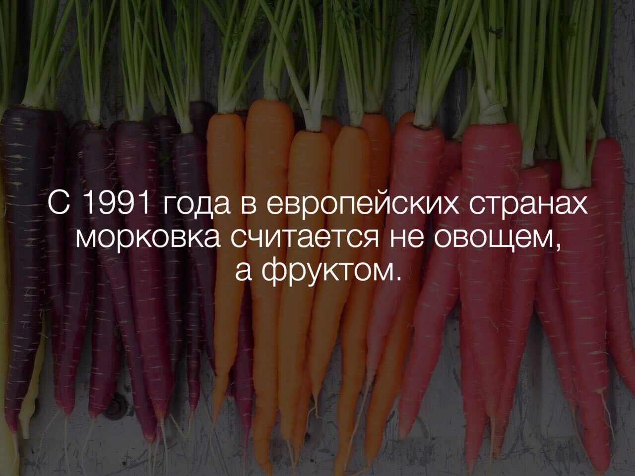 Интересные факты