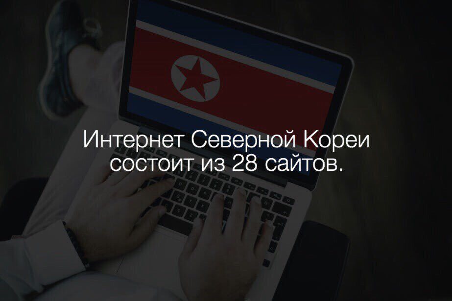 Интересные факты