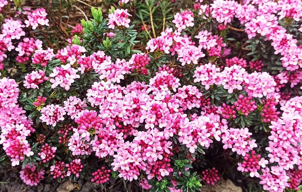 Чем заняться в выходные 14-15 мая