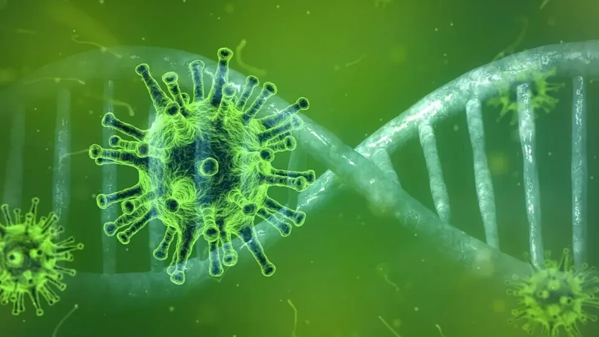 В КНДР зафиксировали вспышку неизвестной лихорадки, затронувшей 350 тысяч человек. Россияне обеспокоены, что зараза распространится