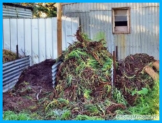 Какие есть виды натуральных удобрений