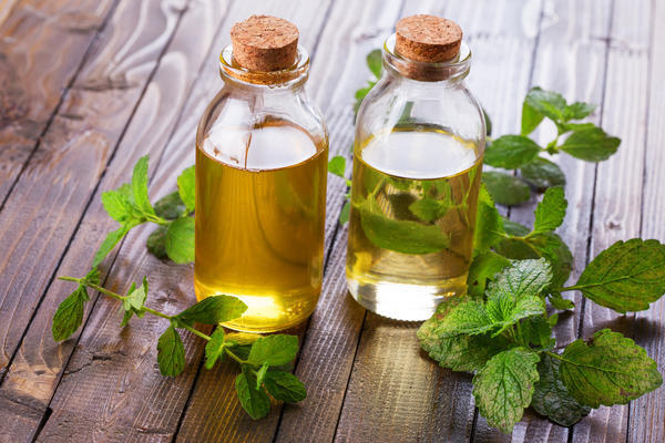 Лучшие рецепты из мяты перечной: домашний чай, отвар, масло, сироп и уксус