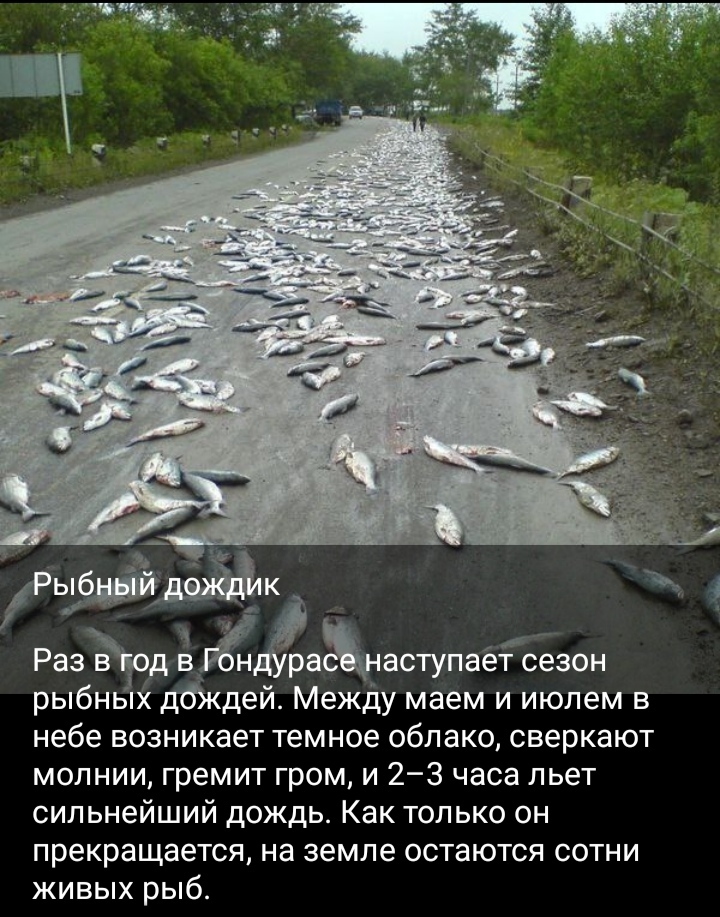 Интересные факты.