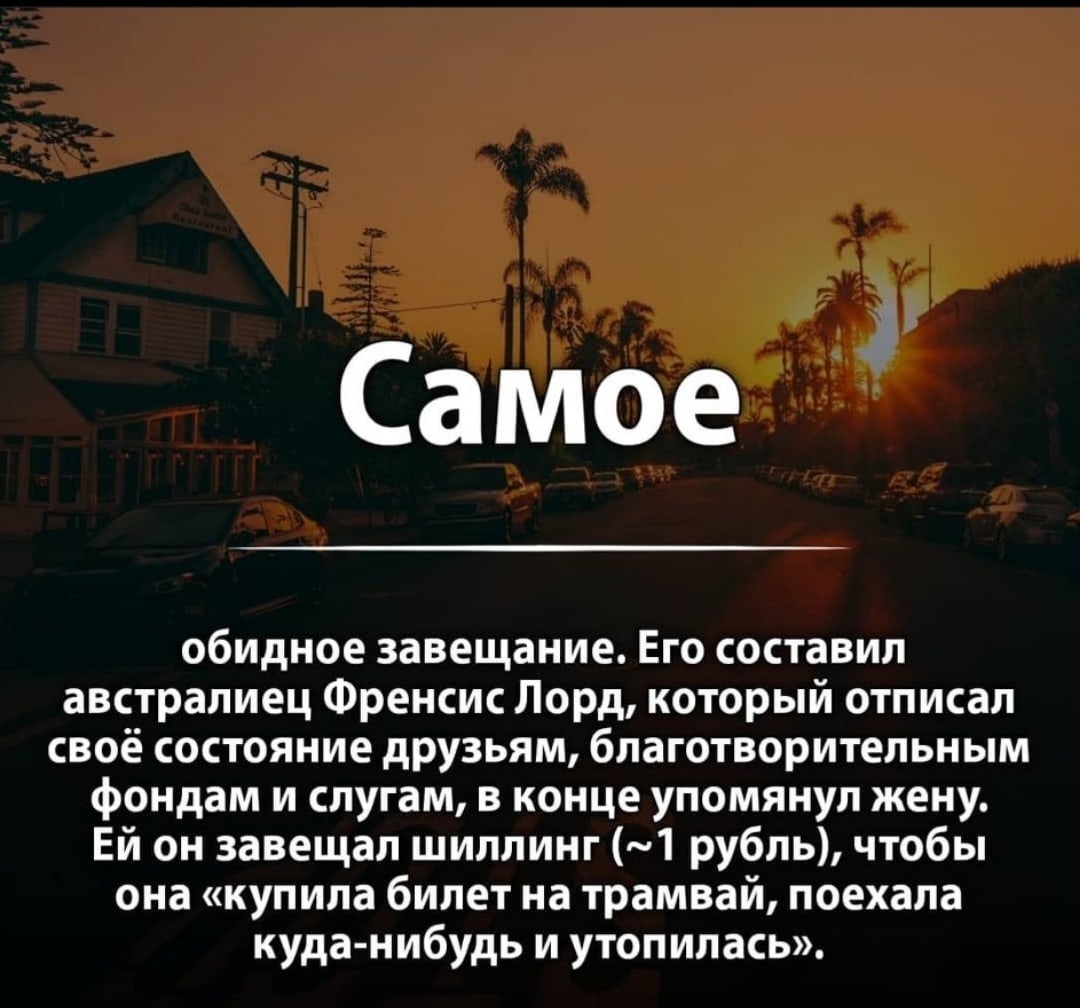 Юристы шутят