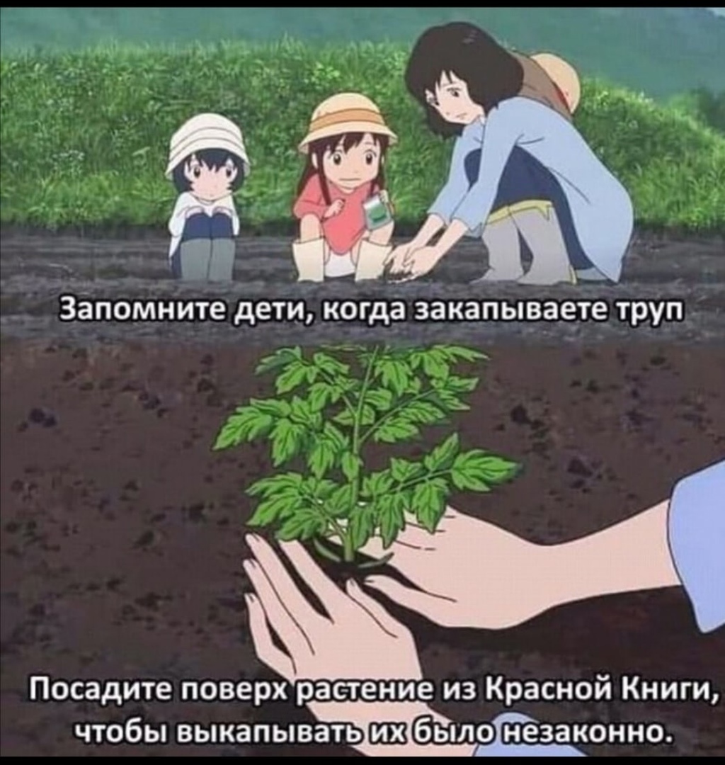 Юристы шутят