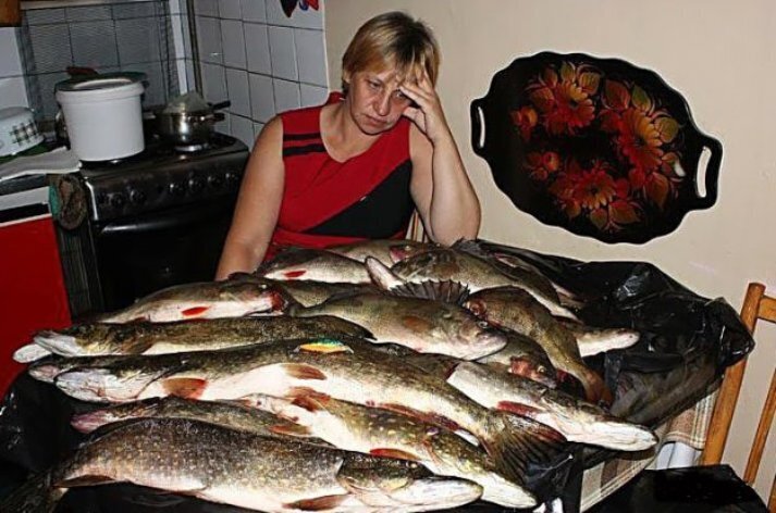 Лучшие моменты, которые запечатлели на рыбалке Это нужно видеть