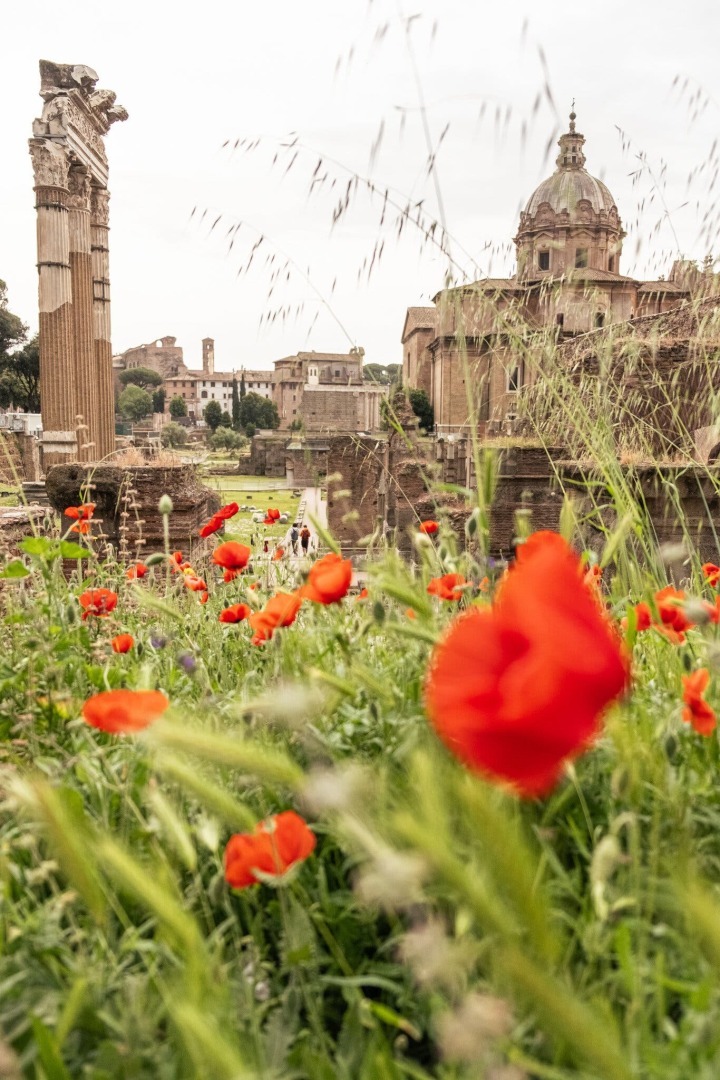 В Риме манят новые блюда и старые места.