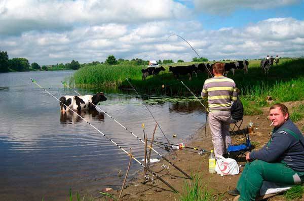 Лучшие моменты, которые запечатлели на рыбалке Это нужно видеть