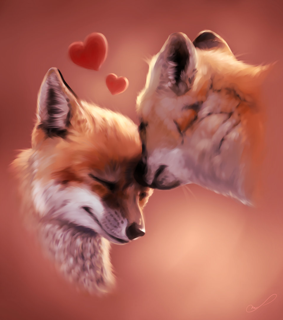Две лисы любовь