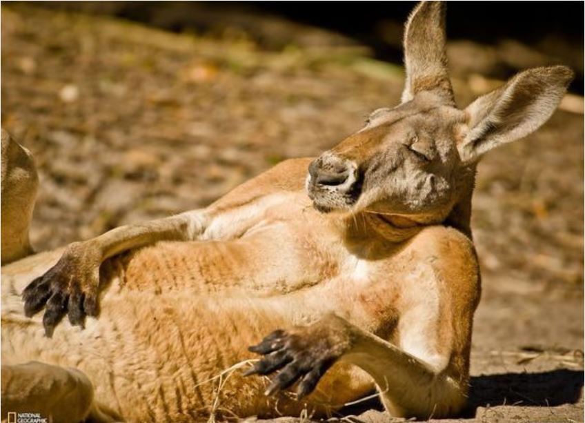 Вы всё ещё на работе?