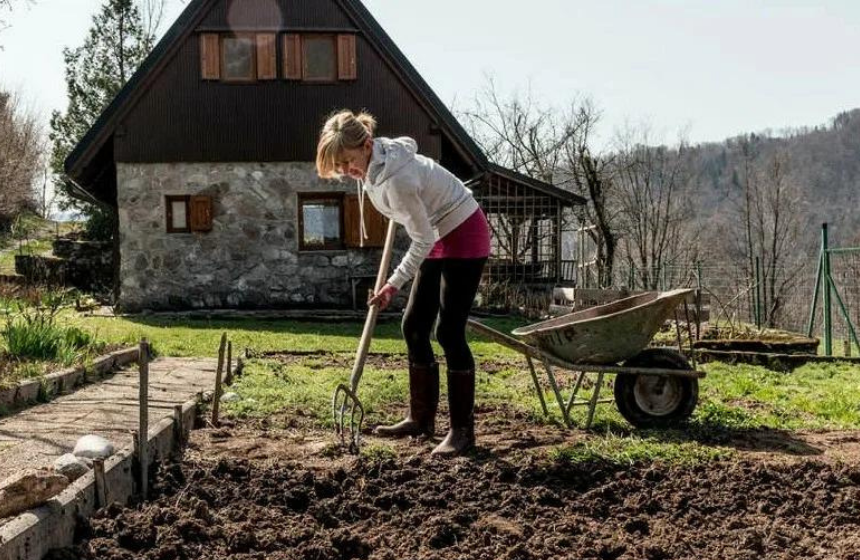Три главных изменения для садоводов и дачников в 2022 году: разбор ключевых моментов