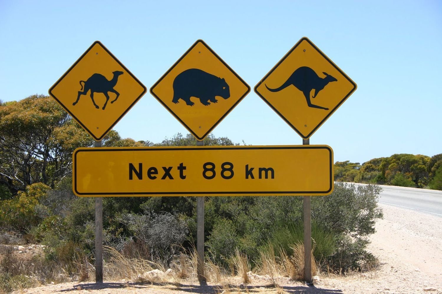 Водитель и природа — возможен ли компромисс?