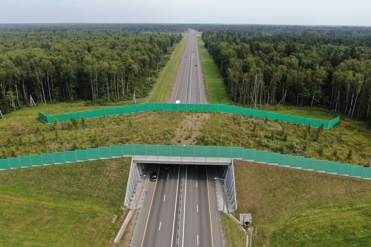 Водитель и природа — возможен ли компромисс?