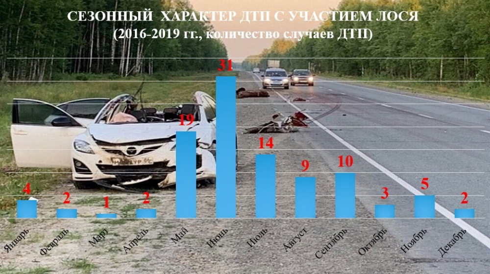 Водитель и природа — возможен ли компромисс?