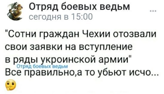 Чехам расхотелось идти на "войнушку"