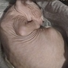 Дима, г. Волгоград