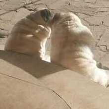 Наталья, г. Ростов-на-Дону