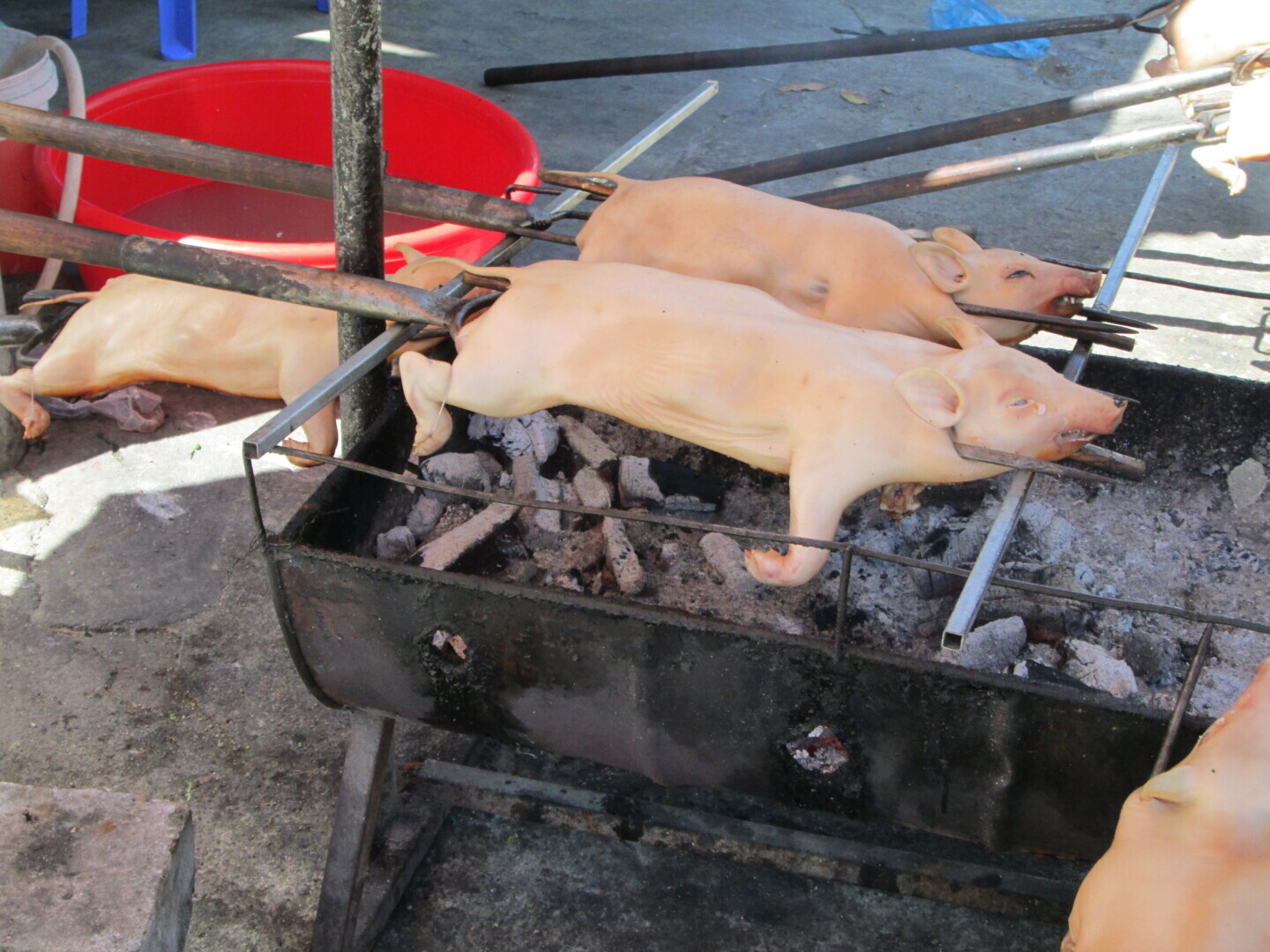 Вы пробовали наши блюда, приготовленные в дальнем зарубежье?