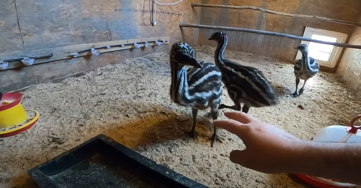 Доброе утро всем! Утро доброе пришло, всё проснулось, ожило!