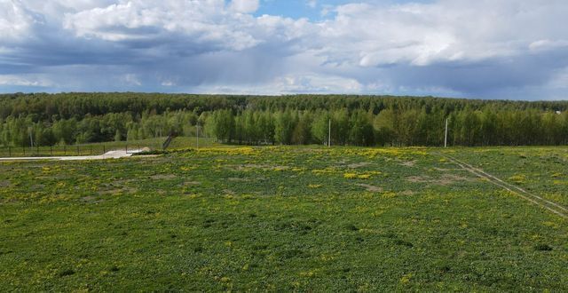 Утро доброе пришло, всё проснулось, ожило! Продолжение.
