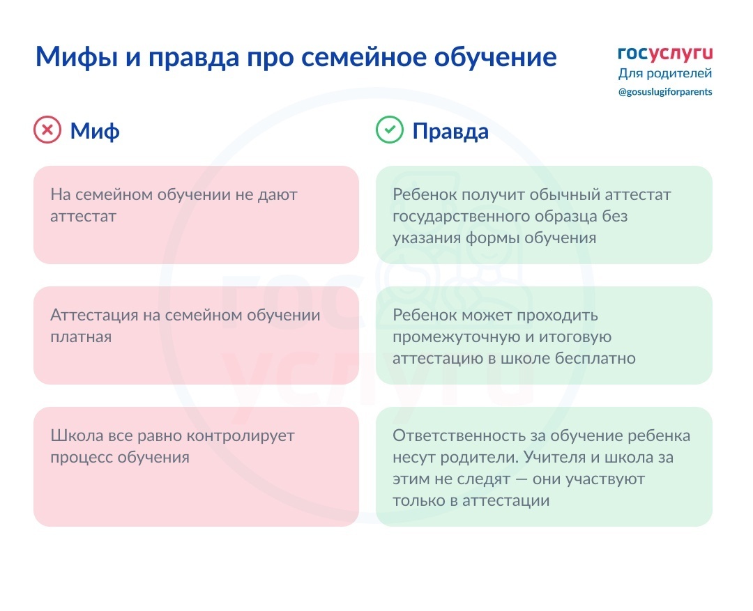 Мифы и правда о семейном образовании
