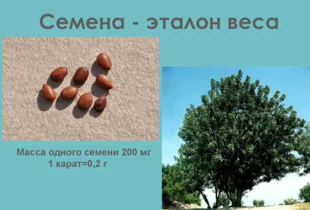 Интересный тест: проверка знаний на точность. Сложный вопрос