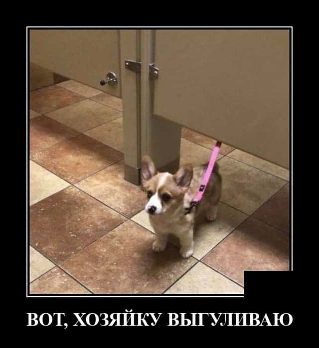 Весёлые картинки (часть 37)