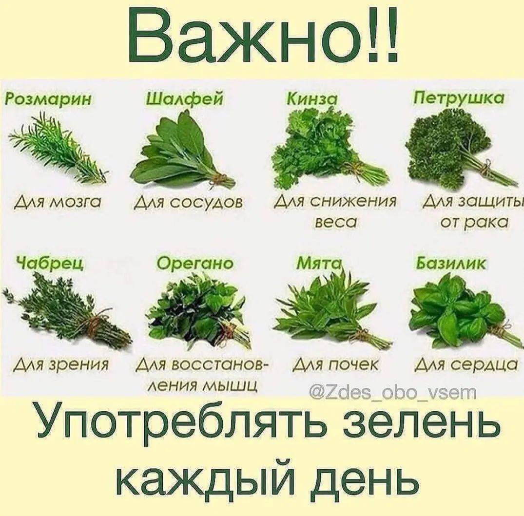 Смешные картинки, полезные советы хозяйкам,и другое.