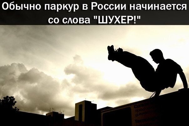 Весёлые картинки (часть 37)