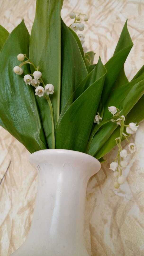 День юриста в будни летом!