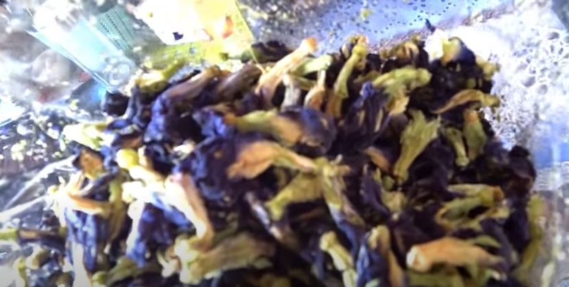 Синий чай вы никогда не пили? А зря