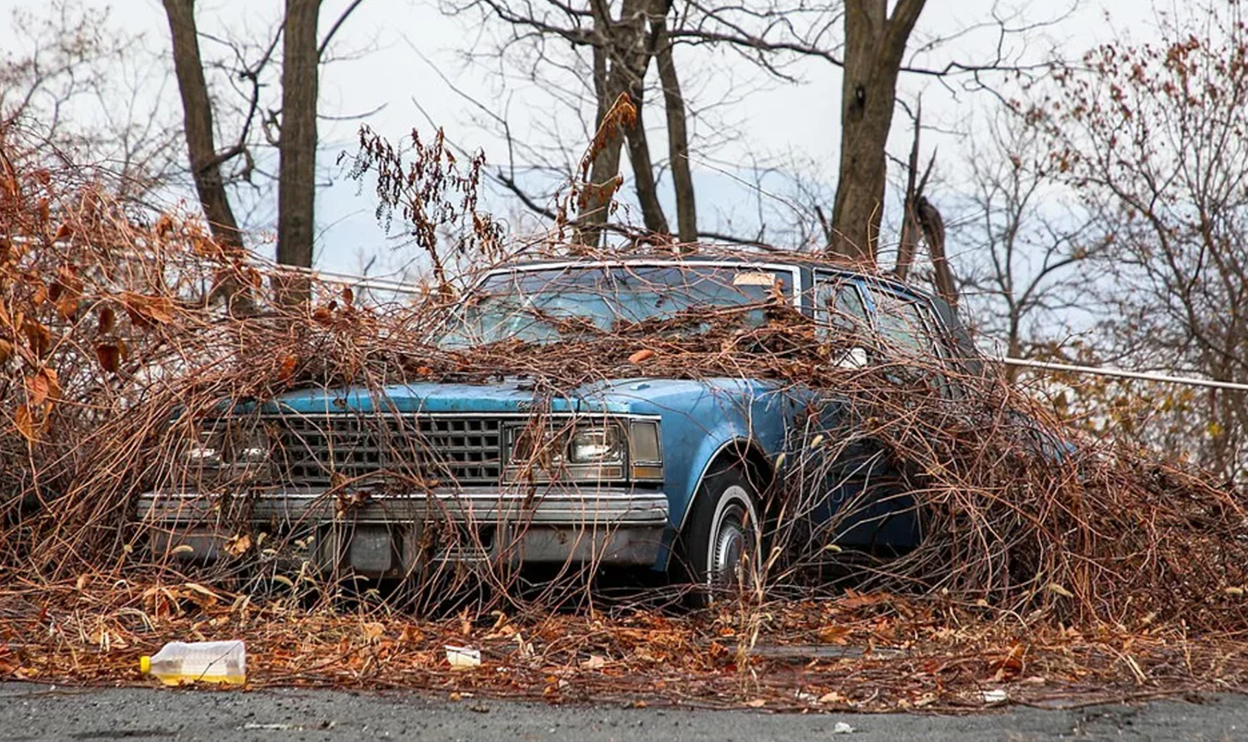 Приобретение права собственности на бесхозный автомобиль.