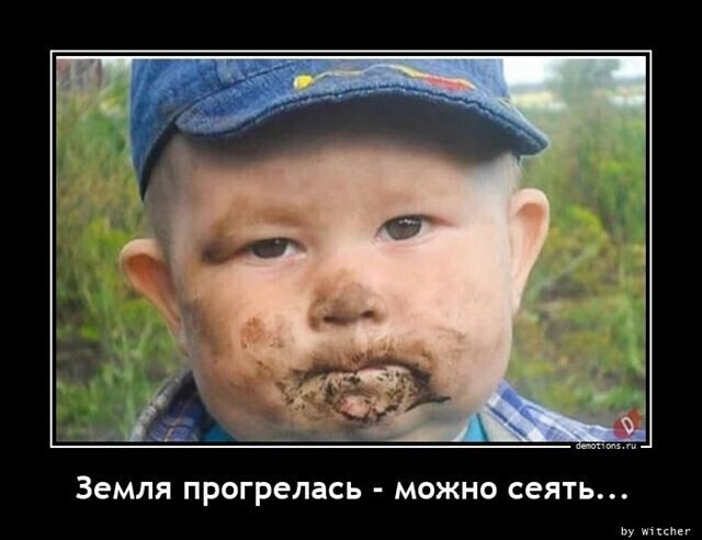 Весёлые картинки (часть 38)