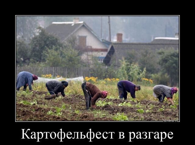 Весёлые картинки (часть 38)